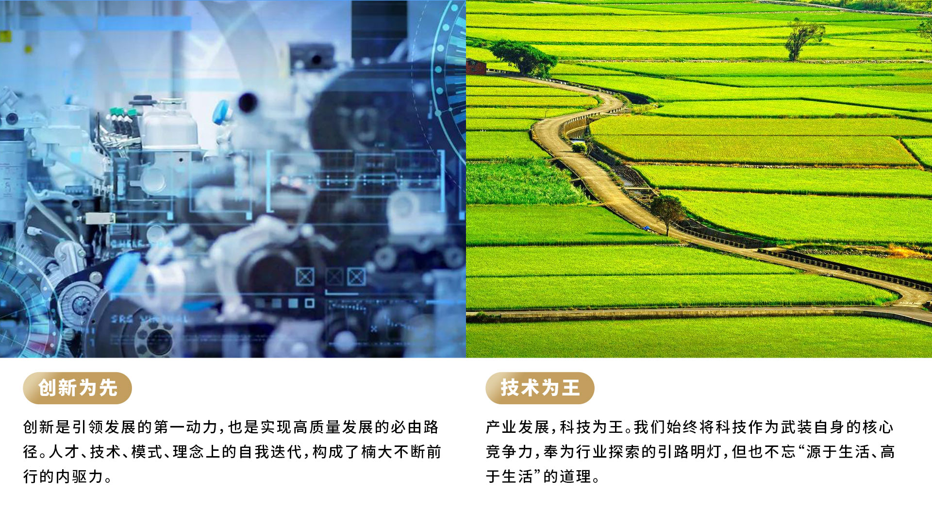 &#20061;&#28216;